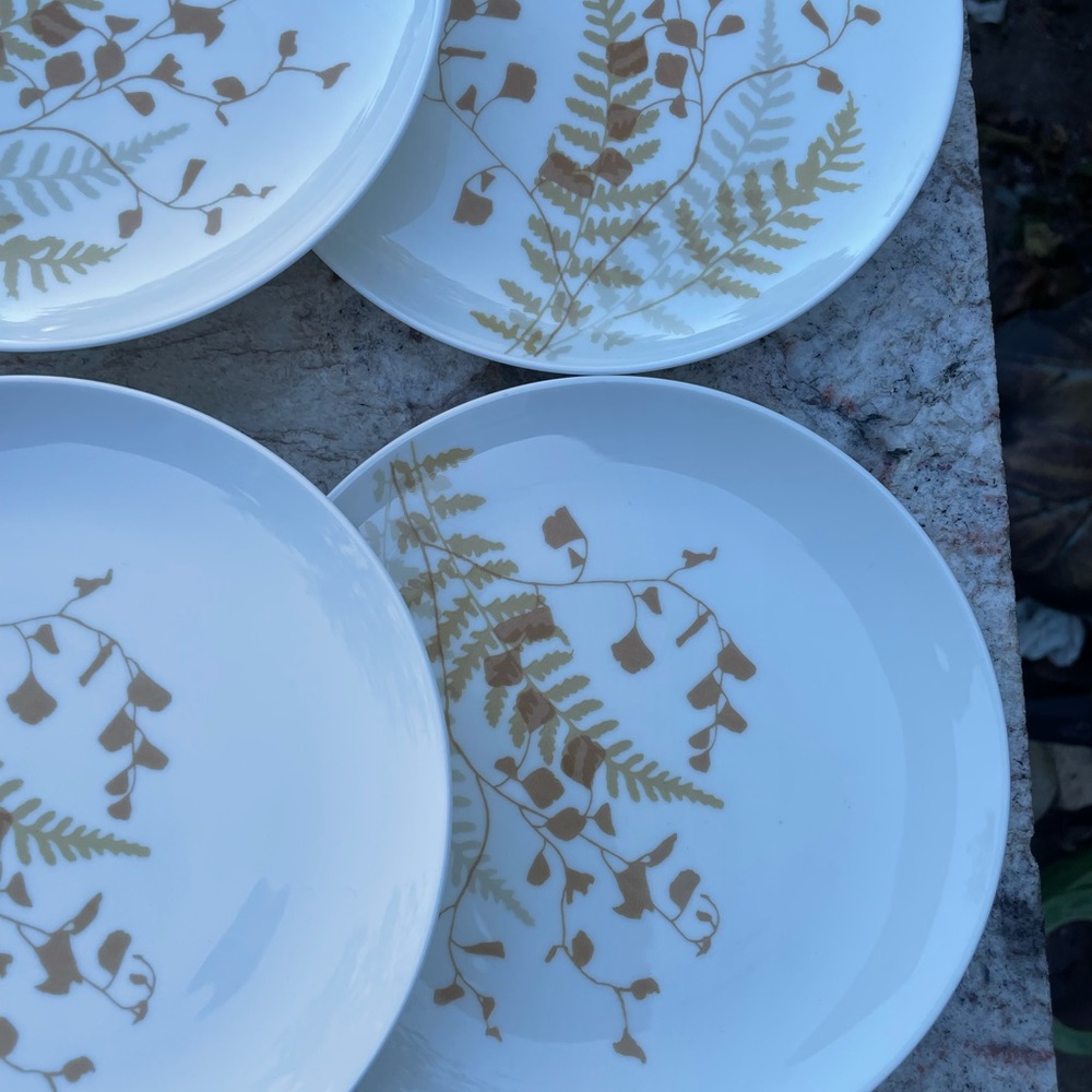 Six Mikasa 6” plates one china “Lacy fern” - Picture 5 of 6